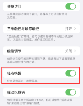 甘孜苹果授权维修站分享iPhone轻点无法唤醒怎么办 