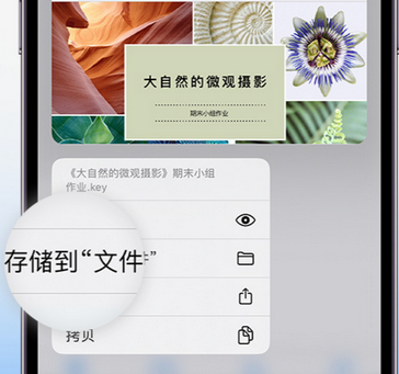 甘孜apple维修中心分享iPhone文件应用中存储和找到下载文件