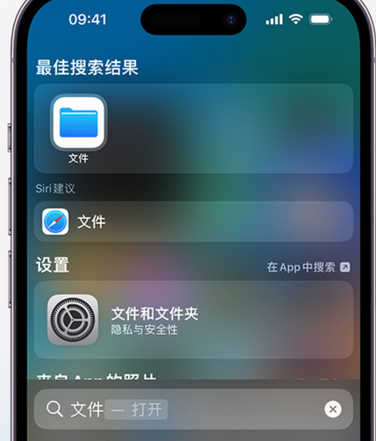 甘孜apple维修中心分享iPhone文件应用中存储和找到下载文件