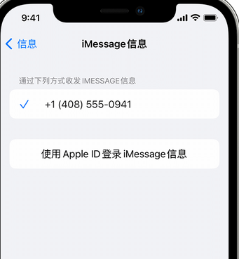 甘孜apple维修iPhone上无法正常发送iMessage信息 