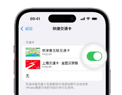 甘孜apple维修点分享iPhone上更换Apple Pay快捷交通卡手绘卡面 