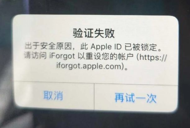 甘孜iPhone维修分享iPhone上正常登录或使用AppleID怎么办 