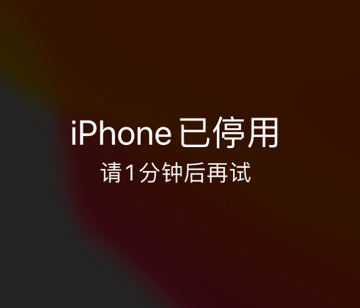 甘孜苹果手机维修分享:iPhone 显示“不可用”或“已停用”怎么办？还能保留数据吗？ 