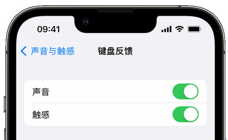 甘孜苹果手机维修分享iPhone 14触感键盘使用方法 