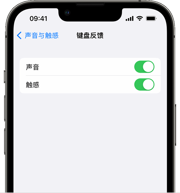 甘孜苹果14维修店分享如何在 iPhone 14 机型中使用触感键盘 