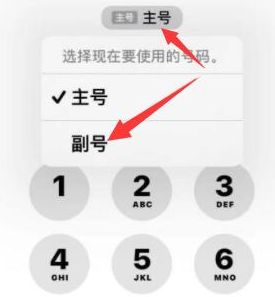 甘孜苹果14维修店分享iPhone 14 Pro Max使用副卡打电话的方法 