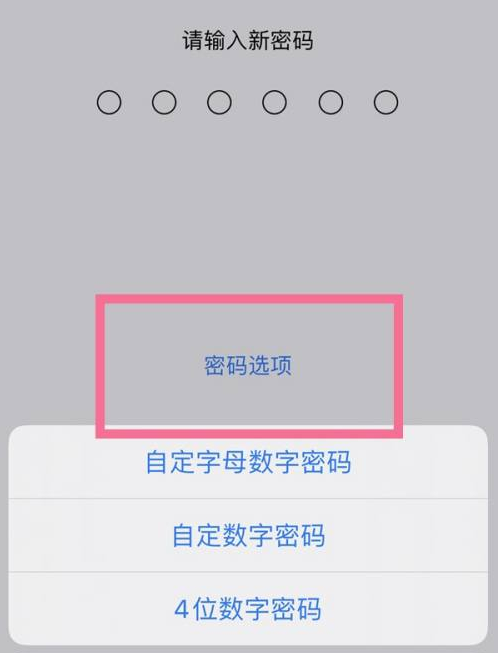 甘孜苹果14维修分享iPhone 14plus设置密码的方法 