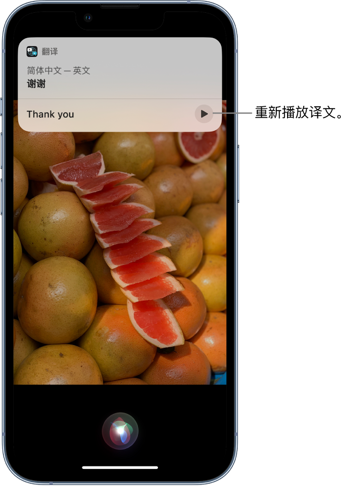 甘孜苹果14维修分享 iPhone 14 机型中使用 Siri：了解 Siri 能帮你做什么 