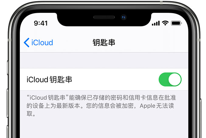 甘孜苹果手机维修分享在 iPhone 上开启 iCloud 钥匙串之后会储存哪些信息 