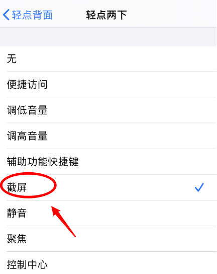 甘孜苹果手机维修分享iPhone12如何启用双击截屏 