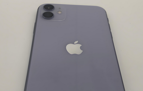 甘孜苹果11系统维修分享iPhone11手机系统崩溃无法开机如何解决 